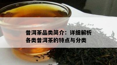 普洱茶品类简介：详细解析各类普洱茶的特点与分类