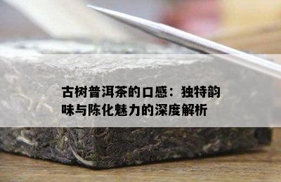 古树普洱茶的口感：特别韵味与陈化魅力的深度解析