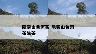 隐雾山普洱茶-隐雾山普洱茶生茶