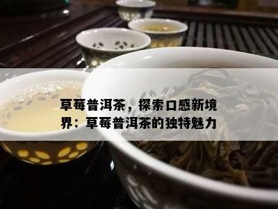 草莓普洱茶，探索口感新境界：草莓普洱茶的特别魅力