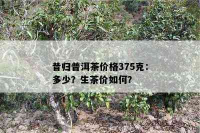 昔归普洱茶价格375克：多少？生茶价怎样？