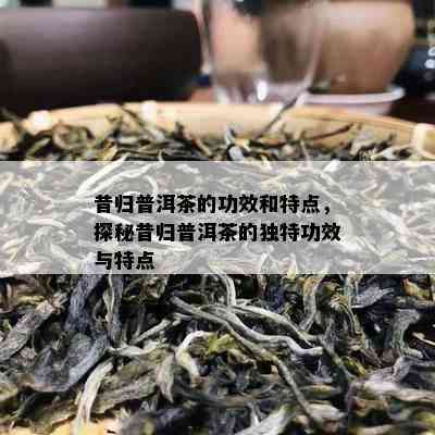 昔归普洱茶的功效和特点，探秘昔归普洱茶的特别功效与特点