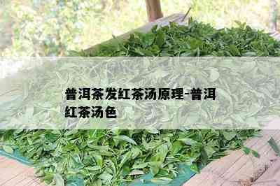 普洱茶发红茶汤原理-普洱红茶汤色