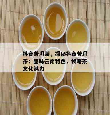 抖音普洱茶，探秘抖音普洱茶：品味云南特色，领略茶文化魅力