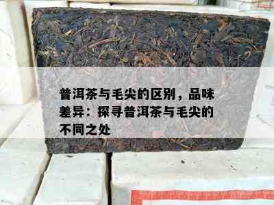 普洱茶与毛尖的区别，品味差异：探寻普洱茶与毛尖的不同之处