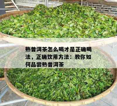 熟普洱茶怎么喝才是正确喝法，正确饮用方法：教你怎样品尝熟普洱茶