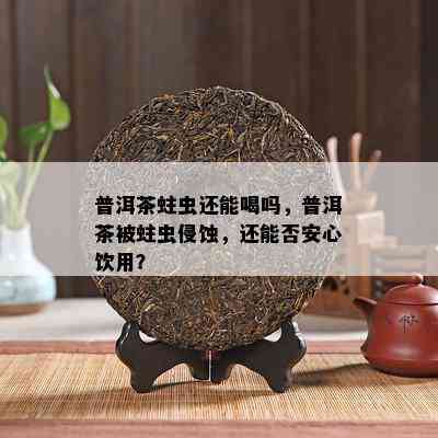 普洱茶蛀虫还能喝吗，普洱茶被蛀虫侵蚀，还能否安心饮用？