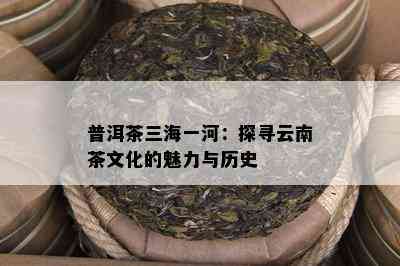 普洱茶三海一河：探寻云南茶文化的魅力与历史