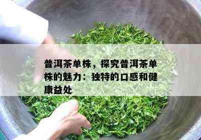 普洱茶单株，探究普洱茶单株的魅力：特别的口感和健康益处