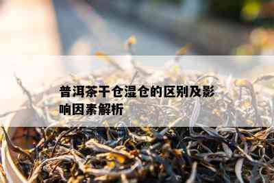 普洱茶干仓湿仓的区别及作用因素解析