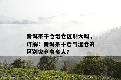 普洱茶干仓湿仓区别大吗，详解：普洱茶干仓与湿仓的区别究竟有多大？