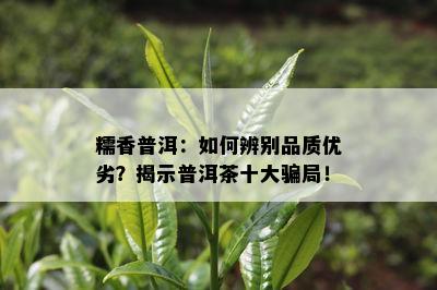 糯香普洱：如何辨别品质优劣？揭示普洱茶十大骗局！