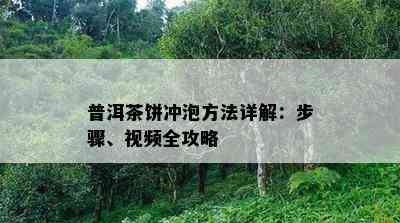 普洱茶饼冲泡方法详解：步骤、视频全攻略