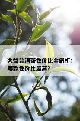 大益普洱茶性价比全解析：哪款性价比更高？