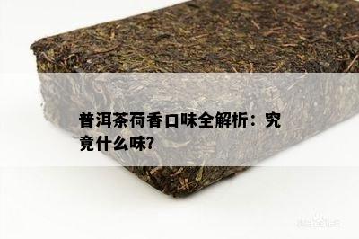 普洱茶荷香口味全解析：究竟什么味？