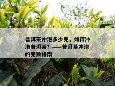 普洱茶冲泡多少克，如何冲泡普洱茶？——普洱茶冲泡的克数指南