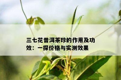 三七花普洱茶珍的作用及功效：一探价格与实测效果