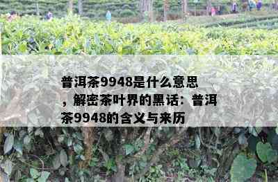 普洱茶9948是什么意思，解密茶叶界的黑话：普洱茶9948的含义与来历