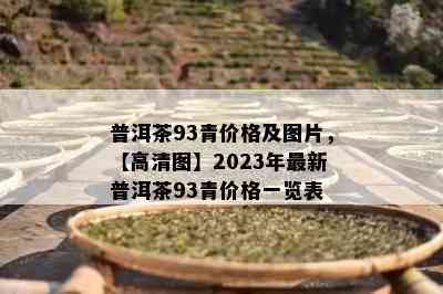 普洱茶93青价格及图片，【高清图】2023年最新普洱茶93青价格一览表