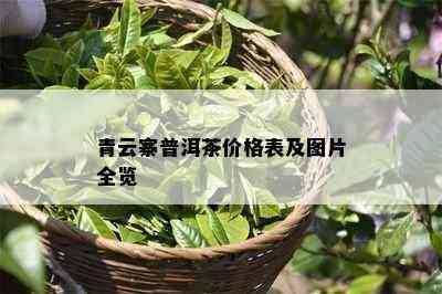 青云寨普洱茶价格表及图片全览