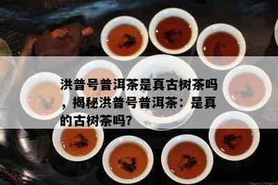 洪普号普洱茶是真古树茶吗，揭秘洪普号普洱茶：是真的古树茶吗？