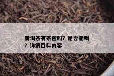 普洱茶有茶菌吗？是否能喝？详解百科内容