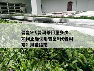 普皇9代普洱茶用量多少，怎样正确采用普皇9代普洱茶？用量指南