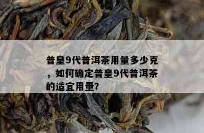 普皇9代普洱茶用量多少克，怎样确定普皇9代普洱茶的适宜用量？