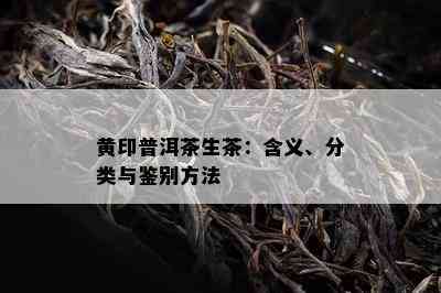 黄印普洱茶生茶：含义、分类与鉴别方法