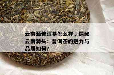 云南源普洱茶怎么样，探秘云南源头：普洱茶的魅力与品质如何？