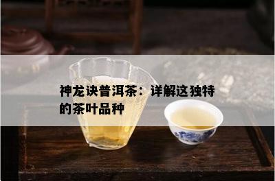 神龙诀普洱茶：详解这特别的茶叶品种