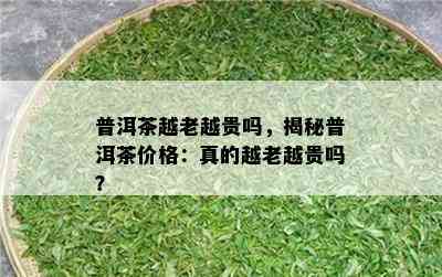 普洱茶越老越贵吗，揭秘普洱茶价格：真的越老越贵吗？