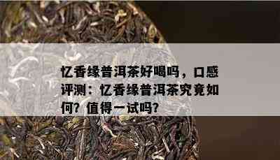 忆香缘普洱茶好喝吗，口感评测：忆香缘普洱茶究竟怎样？值得一试吗？