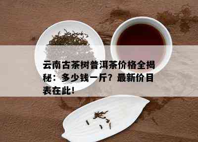 云南古茶树普洱茶价格全揭秘：多少钱一斤？最新价目表在此！