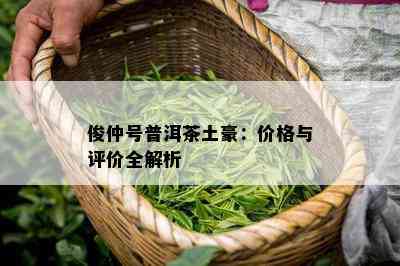 俊仲号普洱茶土豪：价格与评价全解析