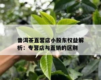 普洱茶直营店小股东权益解析：专营店与直销的区别