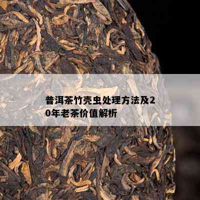 普洱茶竹壳虫处理方法及20年老茶价值解析