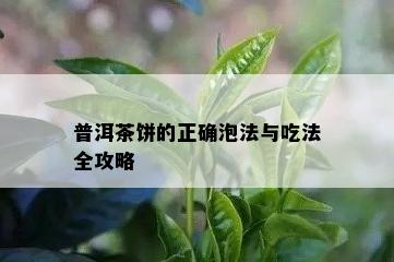 普洱茶饼的正确泡法与吃法全攻略