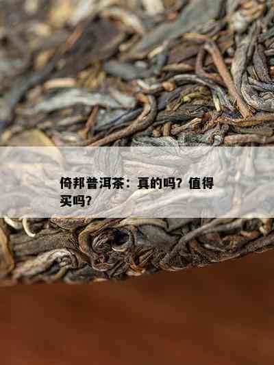 倚邦普洱茶：真的吗？值得买吗？