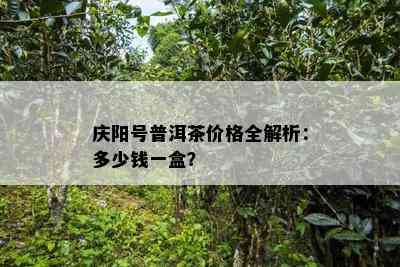 庆阳号普洱茶价格全解析：多少钱一盒？