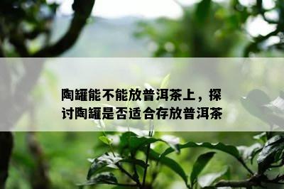 陶罐能不能放普洱茶上，探讨陶罐是不是适合存放普洱茶