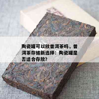 陶瓷罐可以放普洱茶吗，普洱茶存储新选择：陶瓷罐是不是适合存放？