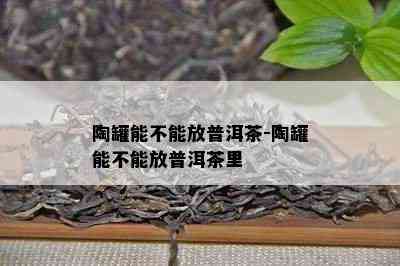 陶罐能不能放普洱茶-陶罐能不能放普洱茶里