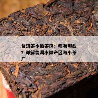 普洱茶小微茶区：都有哪些？详解普洱小微产区与小茶厂