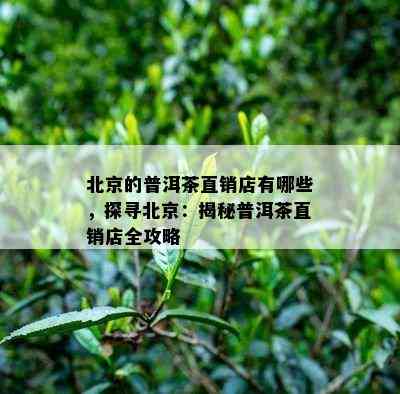 北京的普洱茶直销店有哪些，探寻北京：揭秘普洱茶直销店全攻略