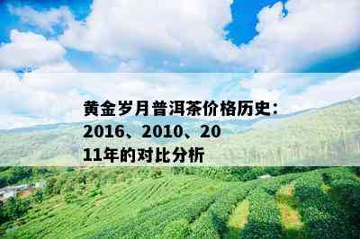 黄金岁月普洱茶价格历史：2016、2010、2011年的对比分析