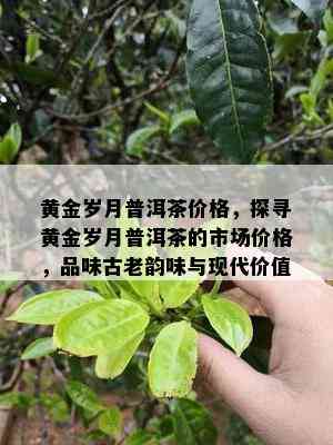 黄金岁月普洱茶价格，探寻黄金岁月普洱茶的市场价格，品味古老韵味与现代价值