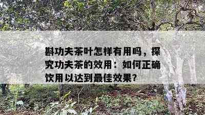 斟功夫茶叶怎样有用吗，探究功夫茶的效用：如何正确饮用以达到更佳效果？