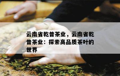 云南省乾普茶业，云南省乾普茶业：探索高品质茶叶的世界