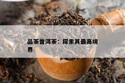 品茶普洱茶：探索其更高境界